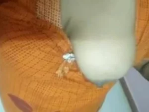 Une MILF indienne dodue taquine son voisin avec ses gros seins, malgré ses tentatives pour l'ignorer.